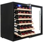 FireBird 28-Bottle Freestanding Thermoelectric Wine Cooler Review